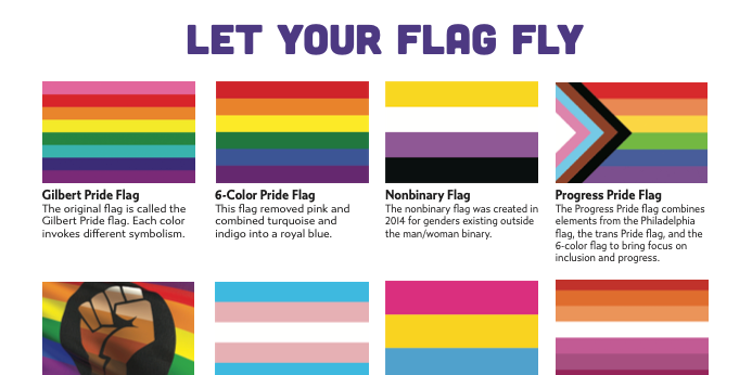 Blog_June24_Pride-Flags-h